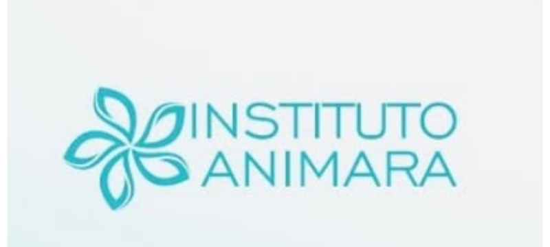 Instituto Animara